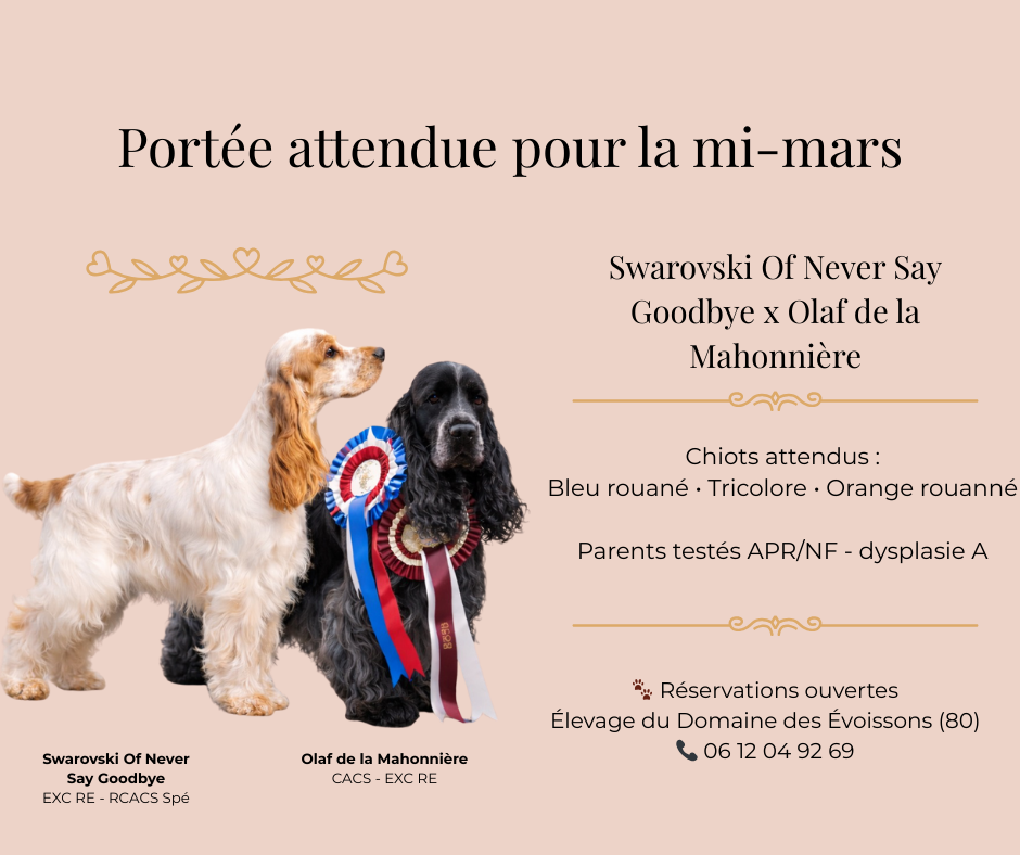 Des bébés attendus pour la mi-mars